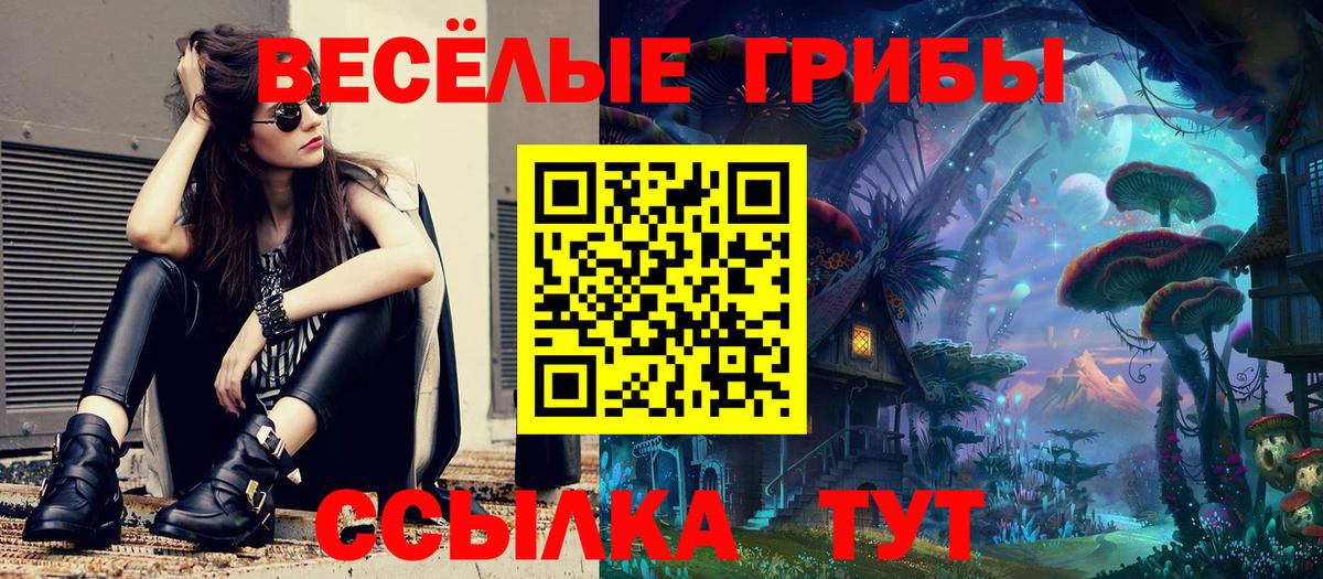 Кинель  Галлюциногенные грибы ЛСД  Вход с VPN 