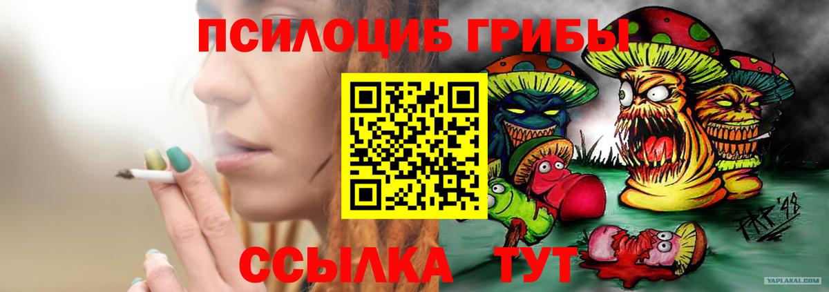 Галлюциногенные грибы Magic Shrooms Кинель